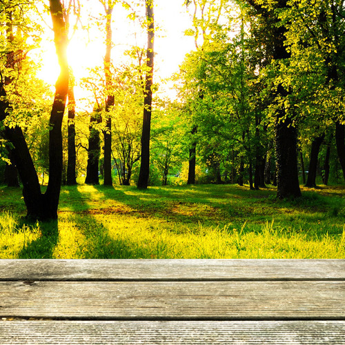 Urlaub des Gartenvorstandes